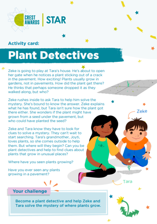Plant Detectives Cover
