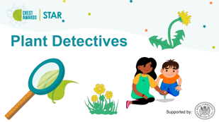 Plant Detectives Supporting Slides Cover