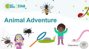 Animal Adventure Supporting Slides Cover